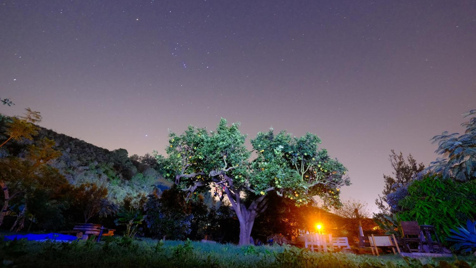 Vuelve Al Origen - Nomadas Digitales Tegueste ภายนอก รูปภาพ