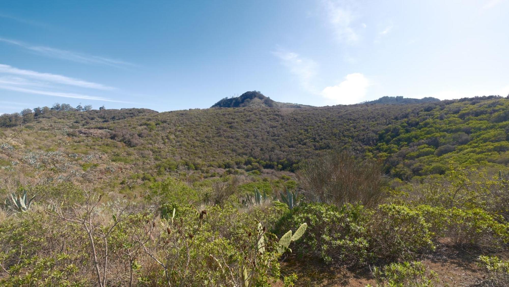 Vuelve Al Origen - Nomadas Digitales Tegueste ภายนอก รูปภาพ