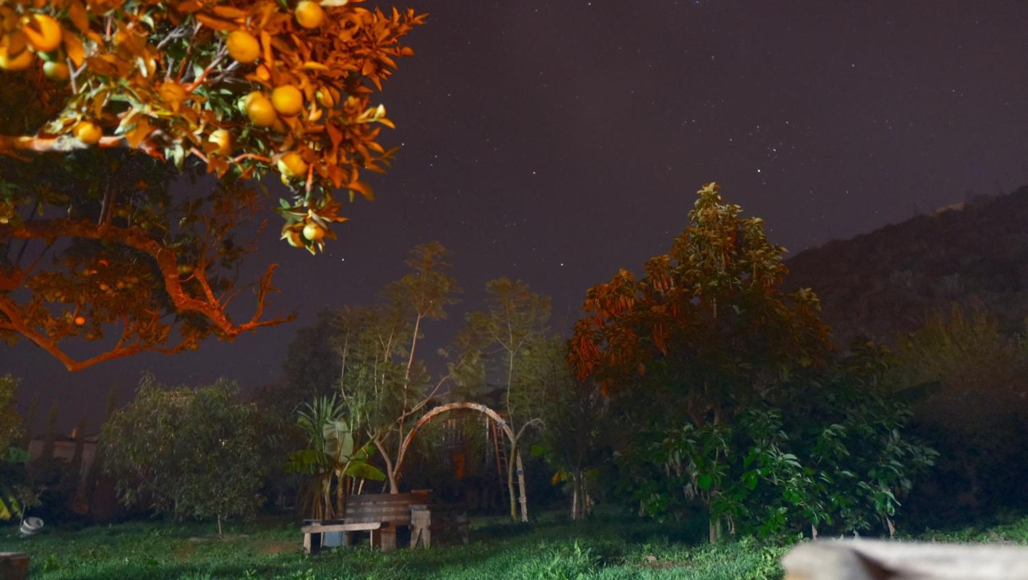 Vuelve Al Origen - Nomadas Digitales Tegueste ภายนอก รูปภาพ