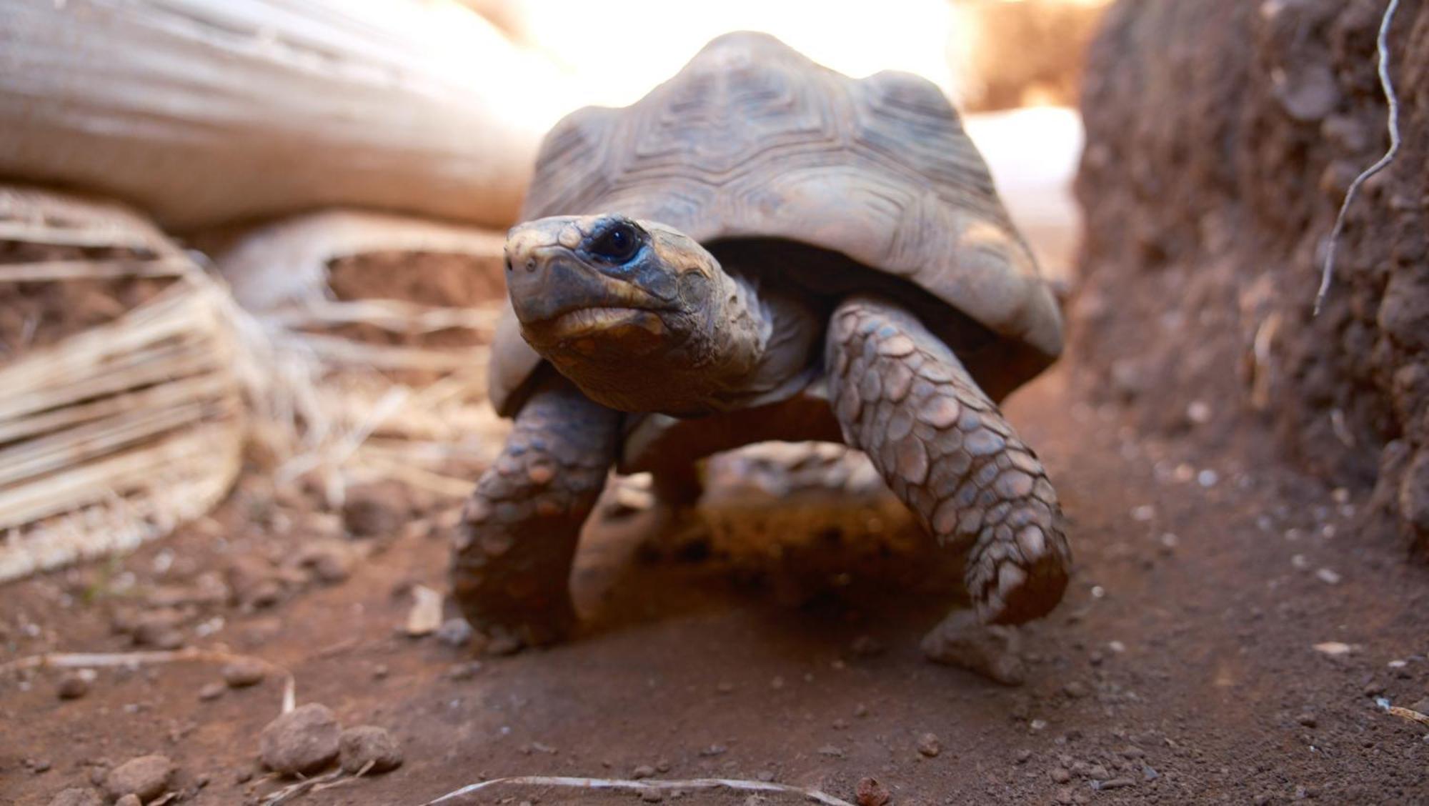 Vuelve Al Origen - Nomadas Digitales Tegueste ภายนอก รูปภาพ